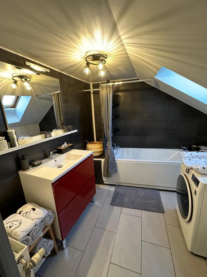 Le Cocon De Marckolsheim Proche Europapark Appartement Buitenkant foto
